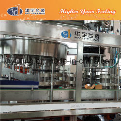 Big Bottle Water Rotary Filling Line