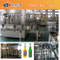 Turkney Project for Glass Bottle Soda Water Bottling Line