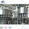 Full Automatic Complete Pet Bottle Mineral Water Bottling Plant / Line / Project / Machine