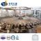 Cgn 24-24-8 Filling Machinery for Drinking Water Flavored Water Production Line Machine