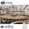 Full Automatic Pet Bottle Mineral Water Plant