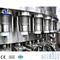 Ce Standard Mineral Water Blowing Filling Capping 3 in 1 Machine