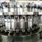 Glass Bottle 3-in-1soda Water Filling Equipment