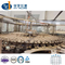 Liquid Rotary Automatic Packaging Bottling Bottle Water Making Machine Filling Packing Plant Sparkling Pure Drinking Mineral Water Making Bottling Machine