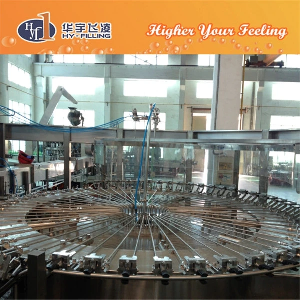 Hy-Filling Mineral Water Rinsing Filling Capping Production Line