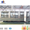 Rotary Type High Qualityjuice Filling Machine Plant in Zhangjiagang