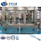 Stainless Steel 304/316 Mineral Water Filling/Bottling Plant/Production Line Turnkey Project