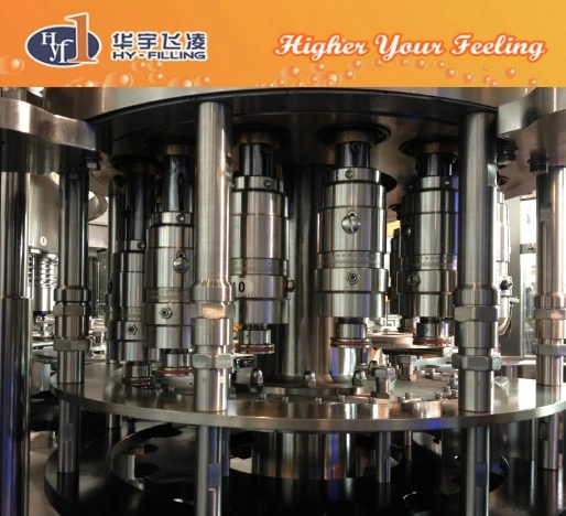 Hy-Filling Mineral Water Rinsing Filling Capping Production Line