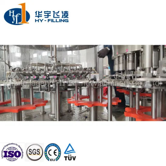 12000bph Automatic Pure Mineral Water Filling Machine Bottle Washing Filling Combi Machine