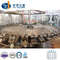 Rotary Beverage Mineral Pure Drink Drinking Pet Bottle Mineral Pure Aqua Plastic Drinking Flavor Juice Carbonated Drink Complete Water Bottling Filling Machine