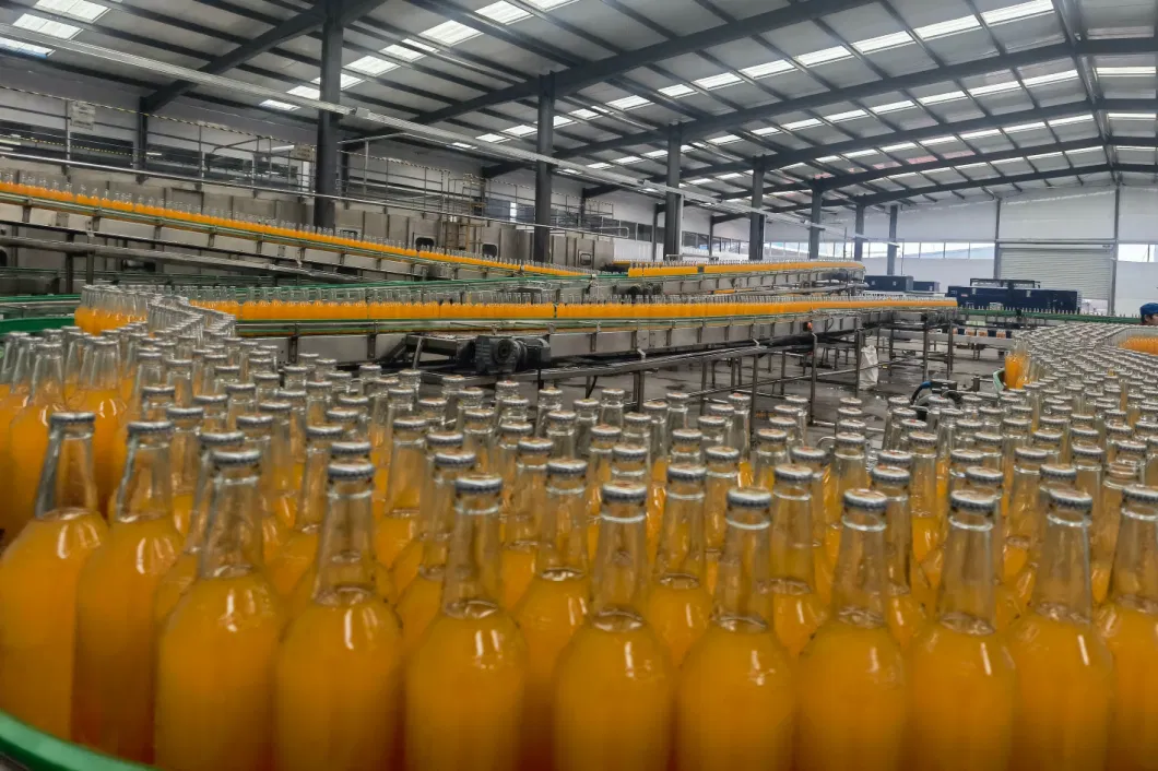 Automatic Liquid Pure Mineral Water Fruit Juice Carbonated Soft Drink Processing Bottling Machine Glass Bottle Washing Filling Capping and Packaging Machine