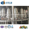 Factory Price Complete Water Filling Line Bottling Equipment for Drinking Pure Mineral Water Plant