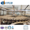 CE Certified Bottle Line Plant Drinking/Pure/Mineral/Water Liquid Filling Automatic Bottling Machine Line Price